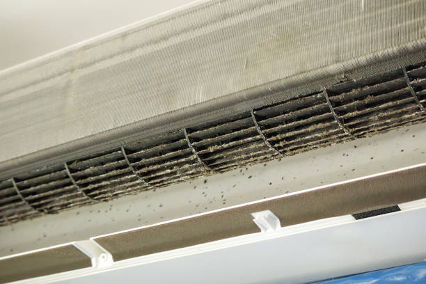 Best Residential Air Duct Cleaning  in Odessa, FL